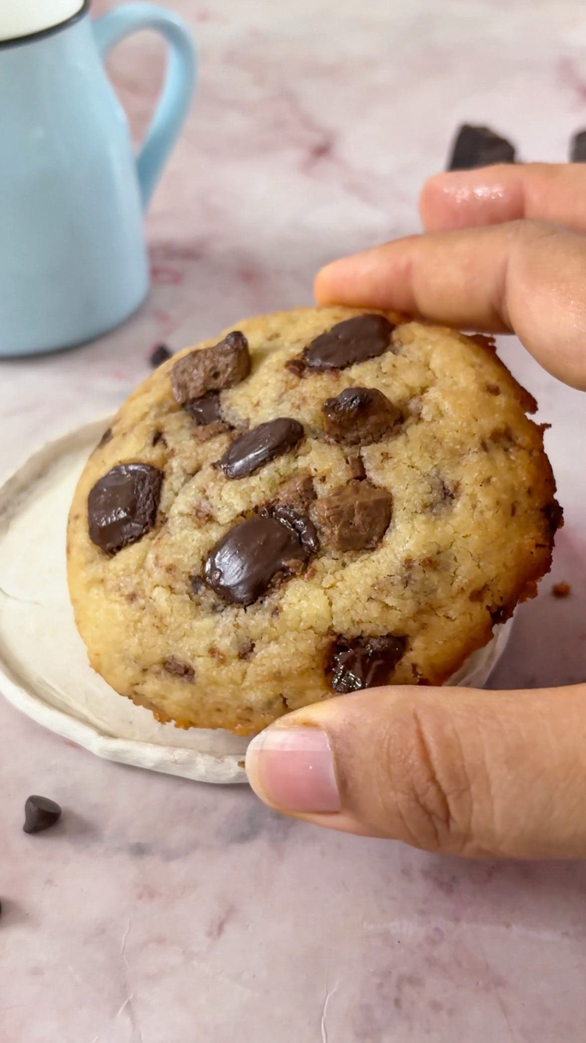 Single-Serve Chocolate Chip Cookie